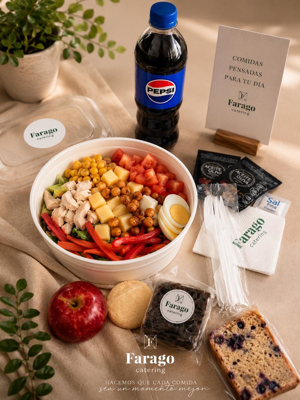 Vianda de Farago con ensalada, bebida, fruta y postre